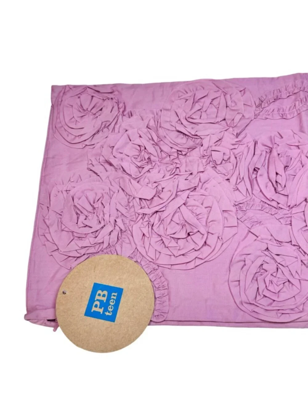 Pottery Barn PB Teen 3 D Flower Ruffle Throw Pillow Cover 2 PCs Set Decorative